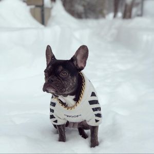 Meet your Posher, Nicolas